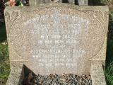 image of grave number 784591